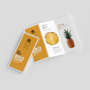 Booklets / Brochures